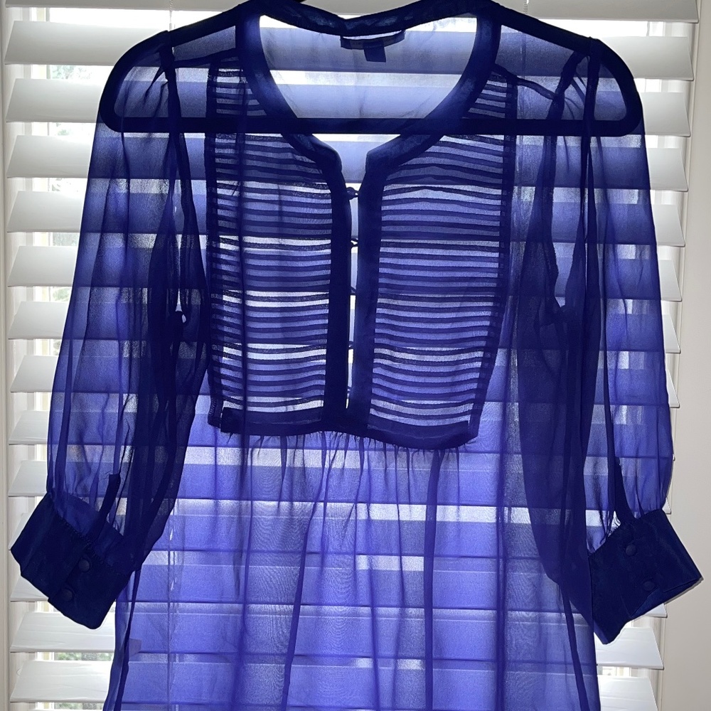 Banana Republic blue sheer blouse